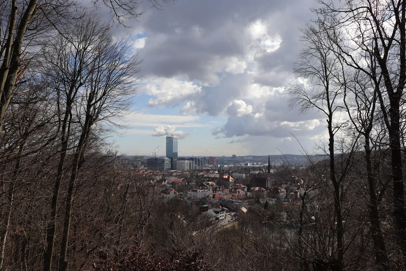 widok z punktu widokowego na Pachołku na Oliwę i okolice