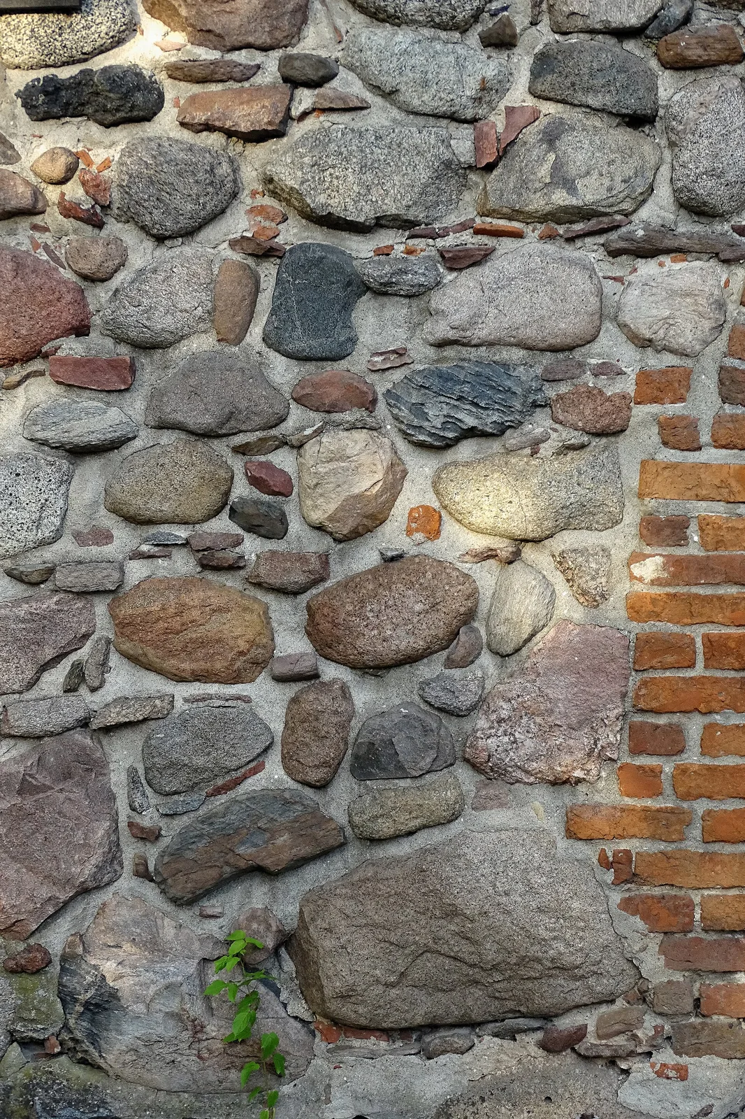Eratyki budujące dolną część ściany byłego kościoła ewangelickiego w Grębocinie (obecnie siedziba Muzeum Piśmiennictwa i Drukarstwa). Kościół zbudowany w XIII w.