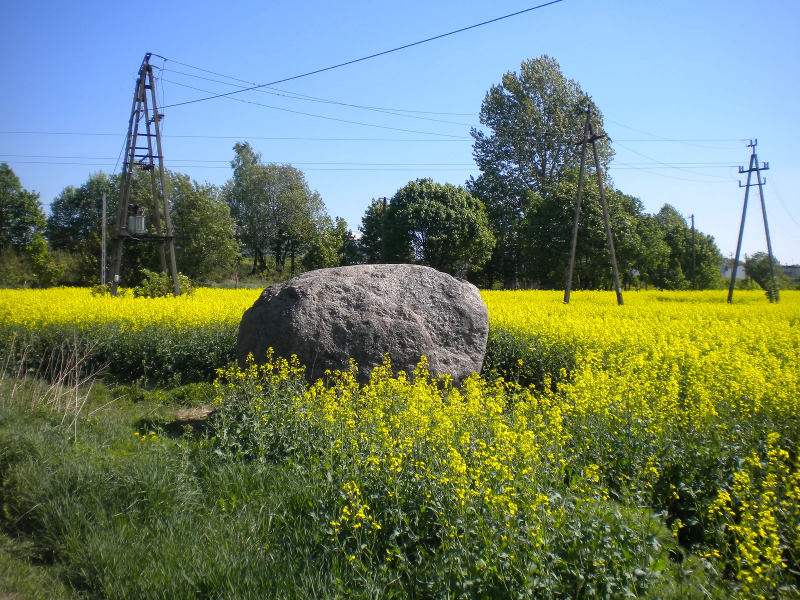 Findling Nähe Peterswalde - Pietrzwald nahe der Kernsdorfer Höhe - Dylewska Góra am 9. Mai 2012