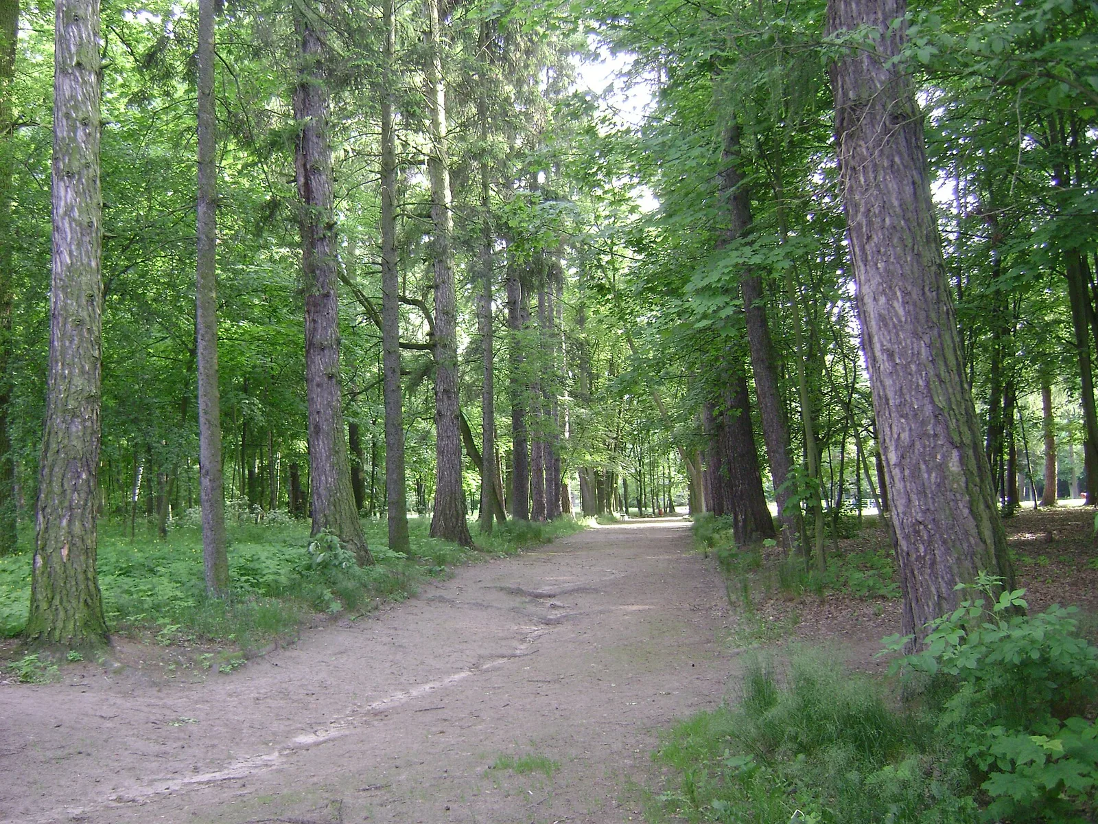 Poland. Kuyavian-Pomeranian Voivodeship. Lipno