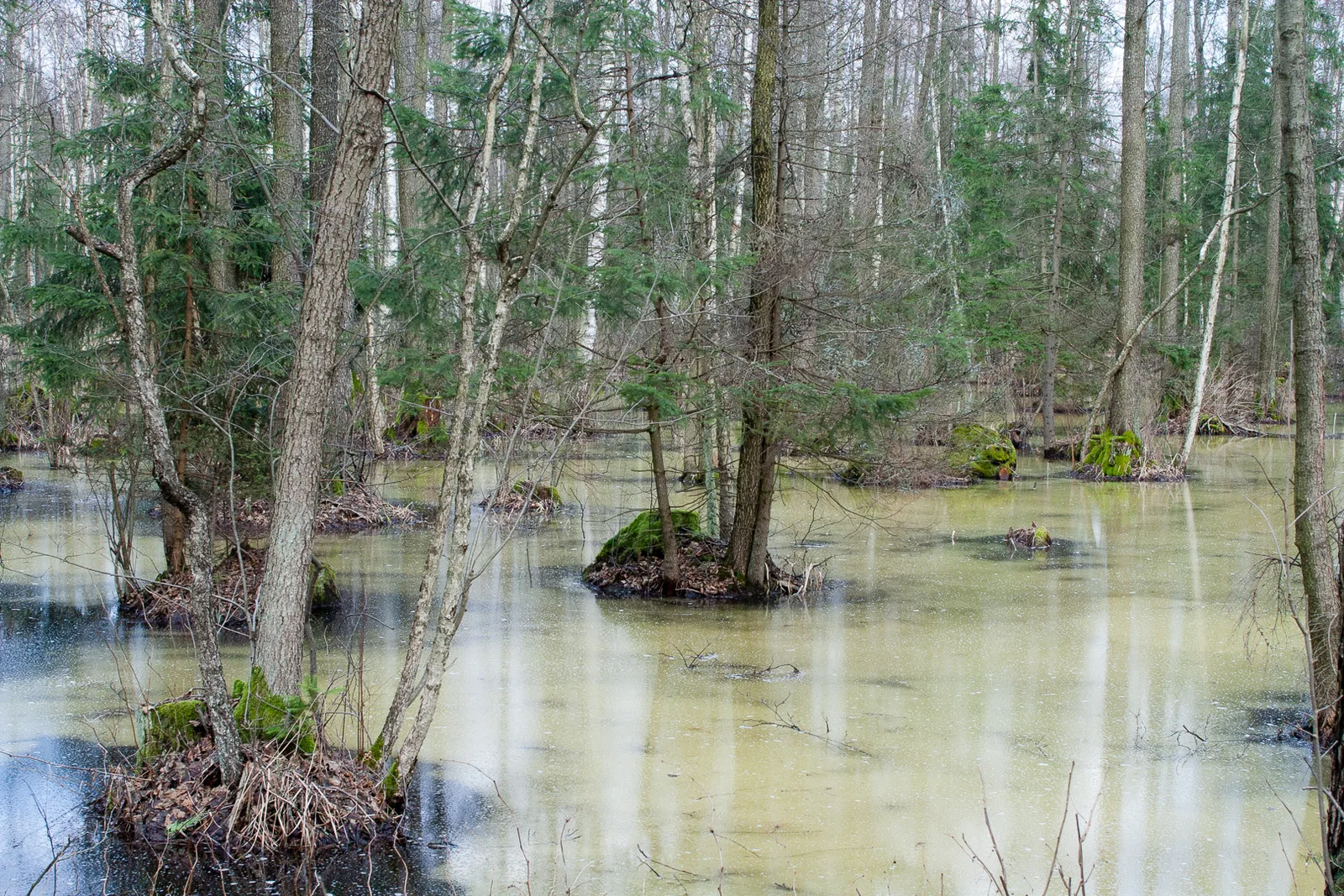 This is a photograph of a Natura 2000 protected area with ID
