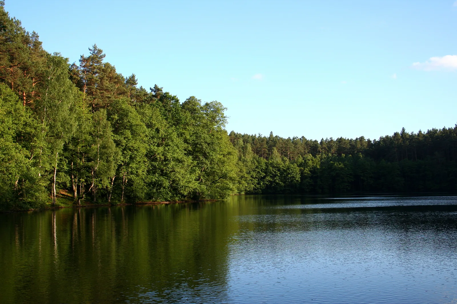 The making of this document was supported by Wikimedia Polska .