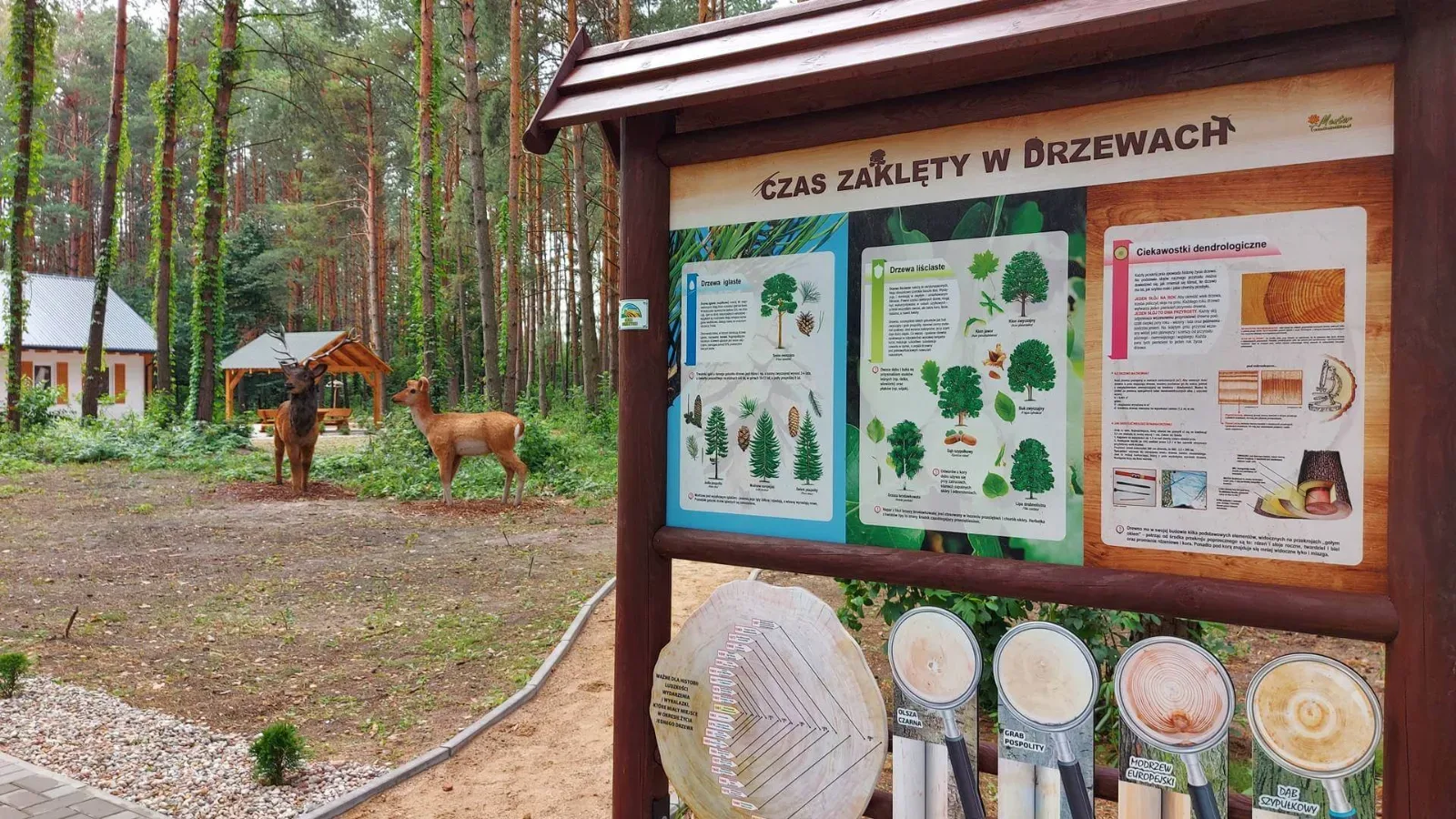 Ścieżki edukacyjno-przyrodnicze Gminy Siemiatycze w Wólce Nadbużnej