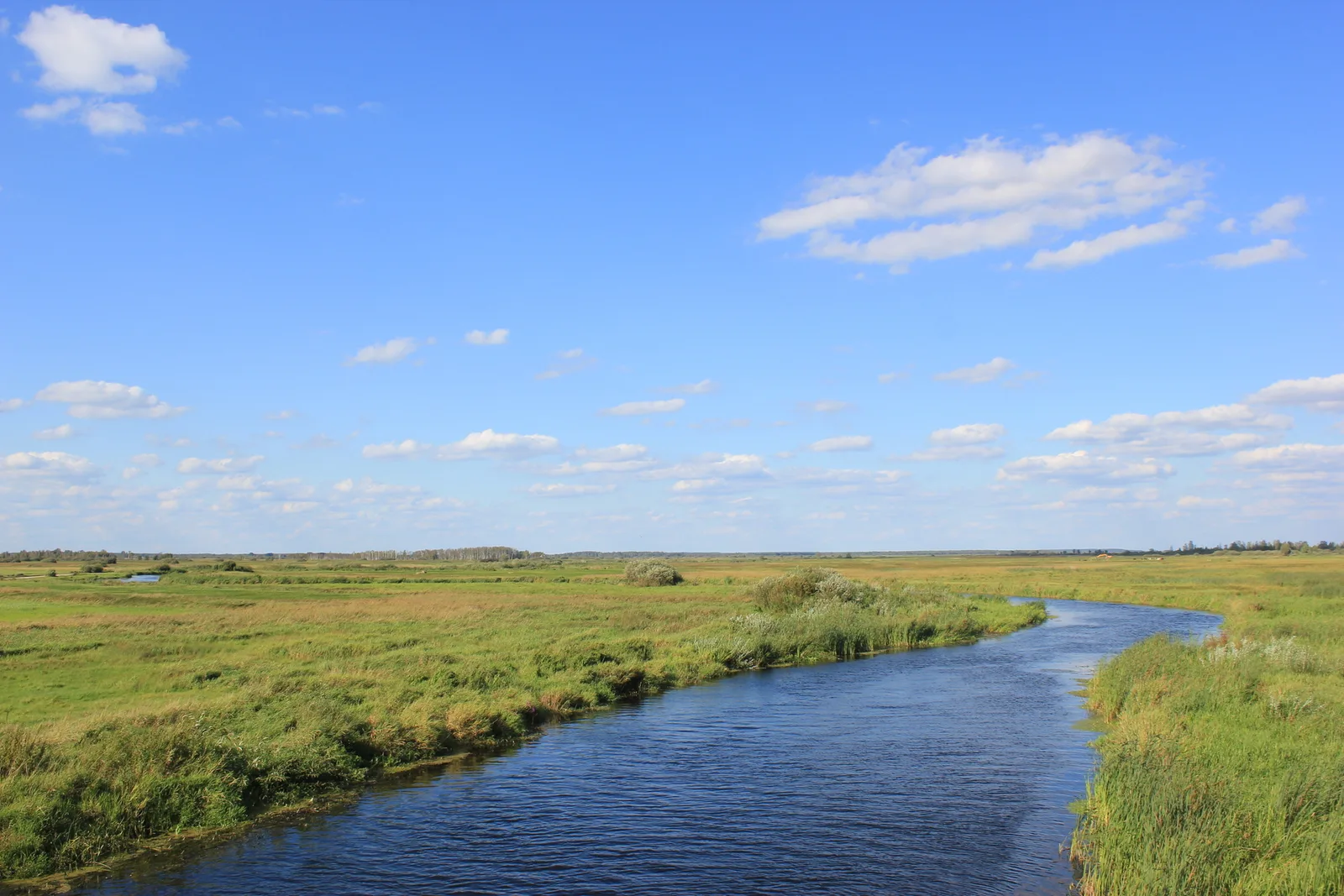 Rěka Biebrza blisko wsy Dębowo pola Augustowa, wojewódstwo Podlaska, Pólska .