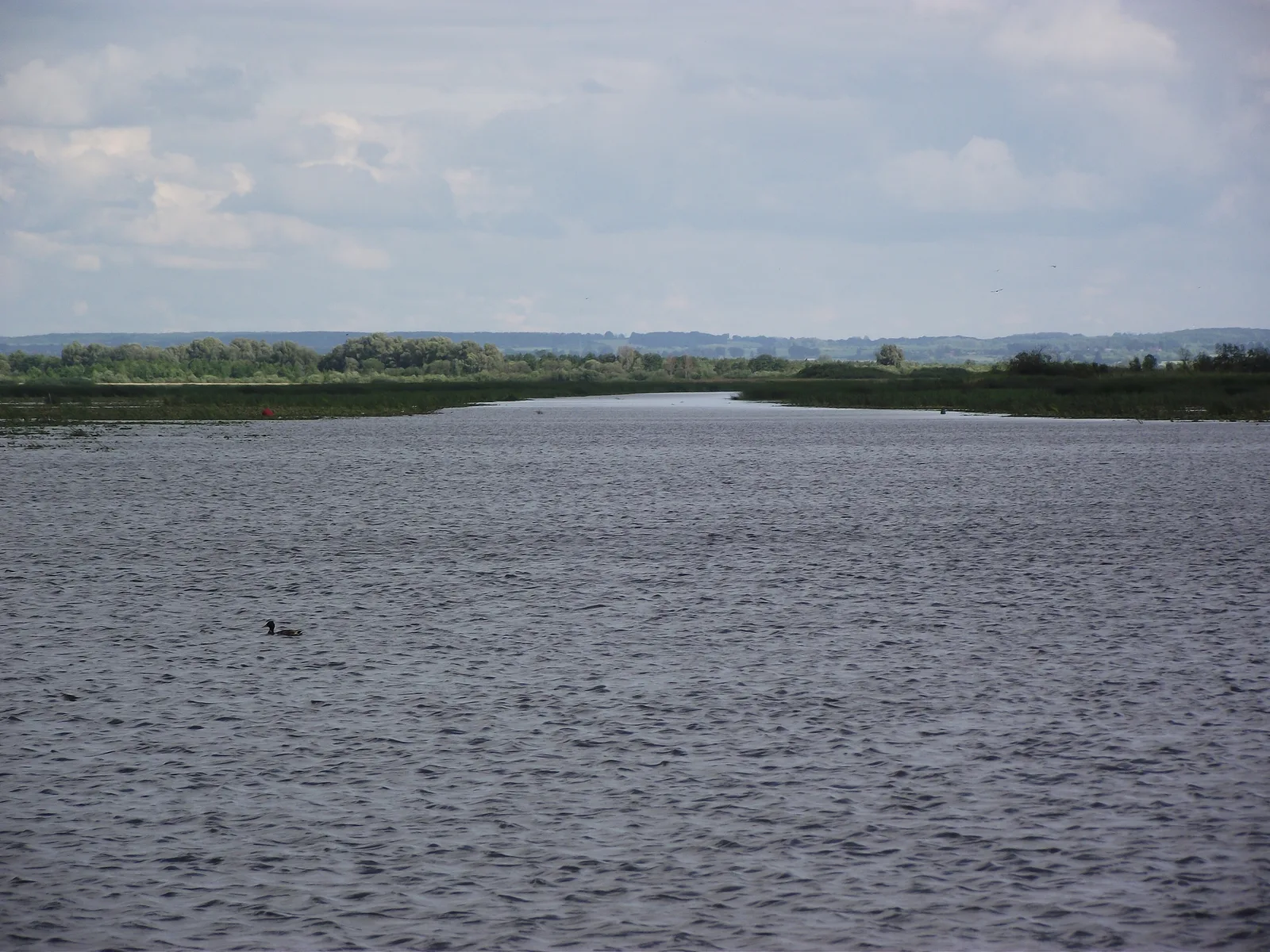 Jezioro Drużno
