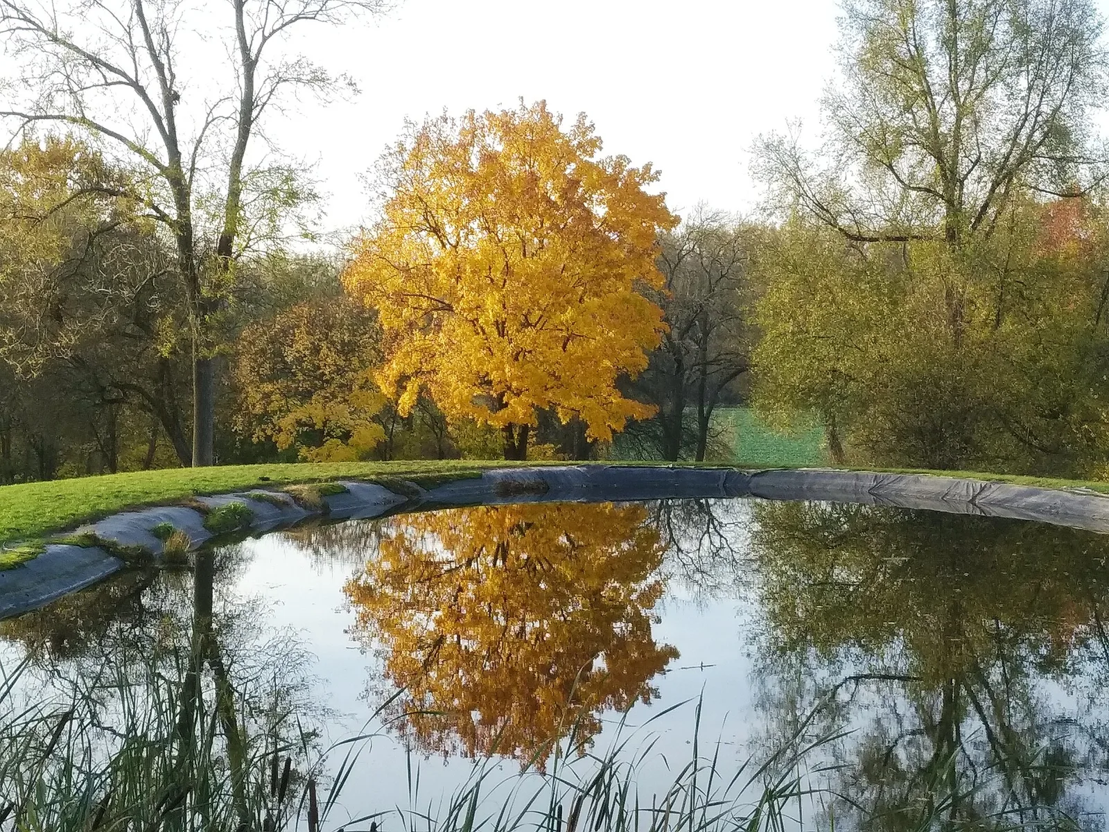 Zespół pałacowo-parkowy w Ostromecku