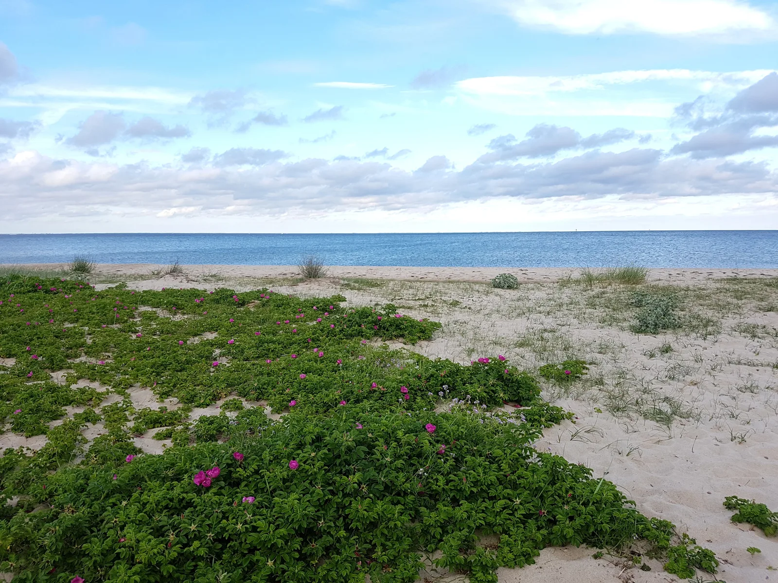 This is a photography of protected area with CRFOP ID