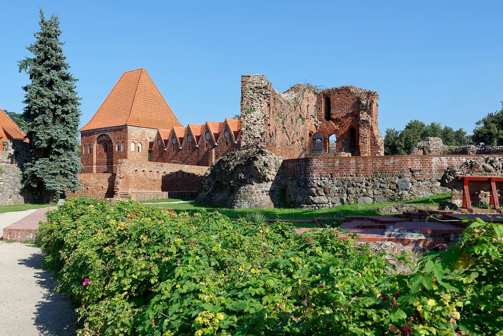 Castle of the Teutonic Knights in Toruń