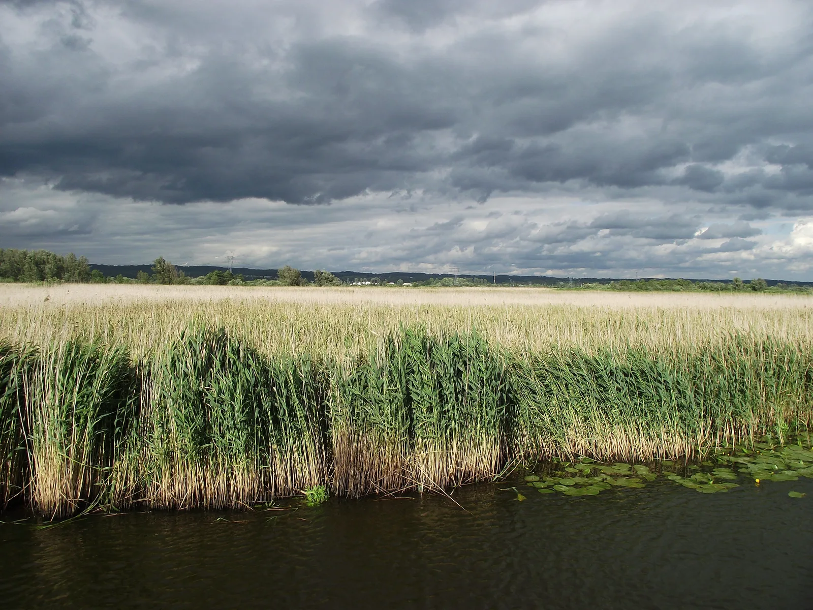 Jezioro Drużno