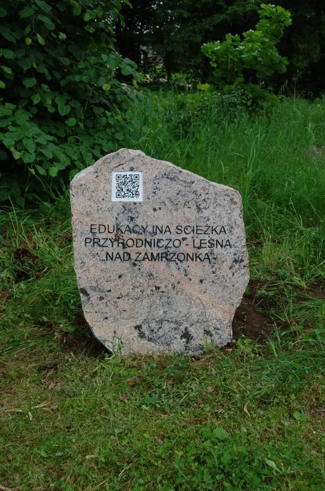 Ścieżka przyrodniczo-leśna „Nad Zamrzonką”
