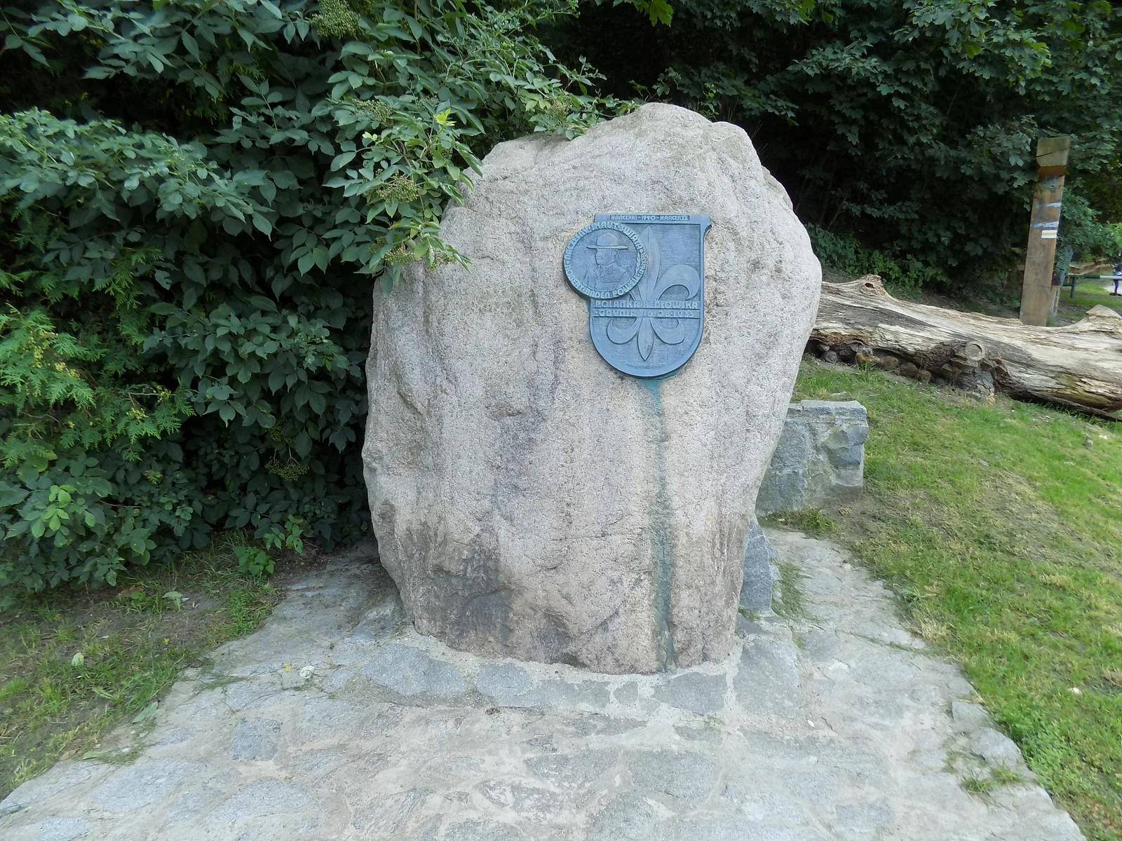 Rezerwat przyrody Kępa Redłowska.