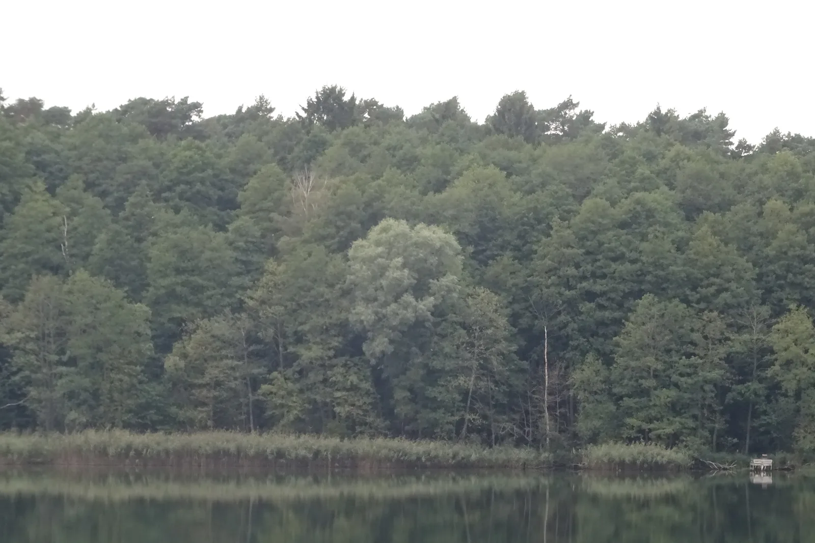 Rezerwat Ostrów Tarczyński, Welski Park Krajobrazowy