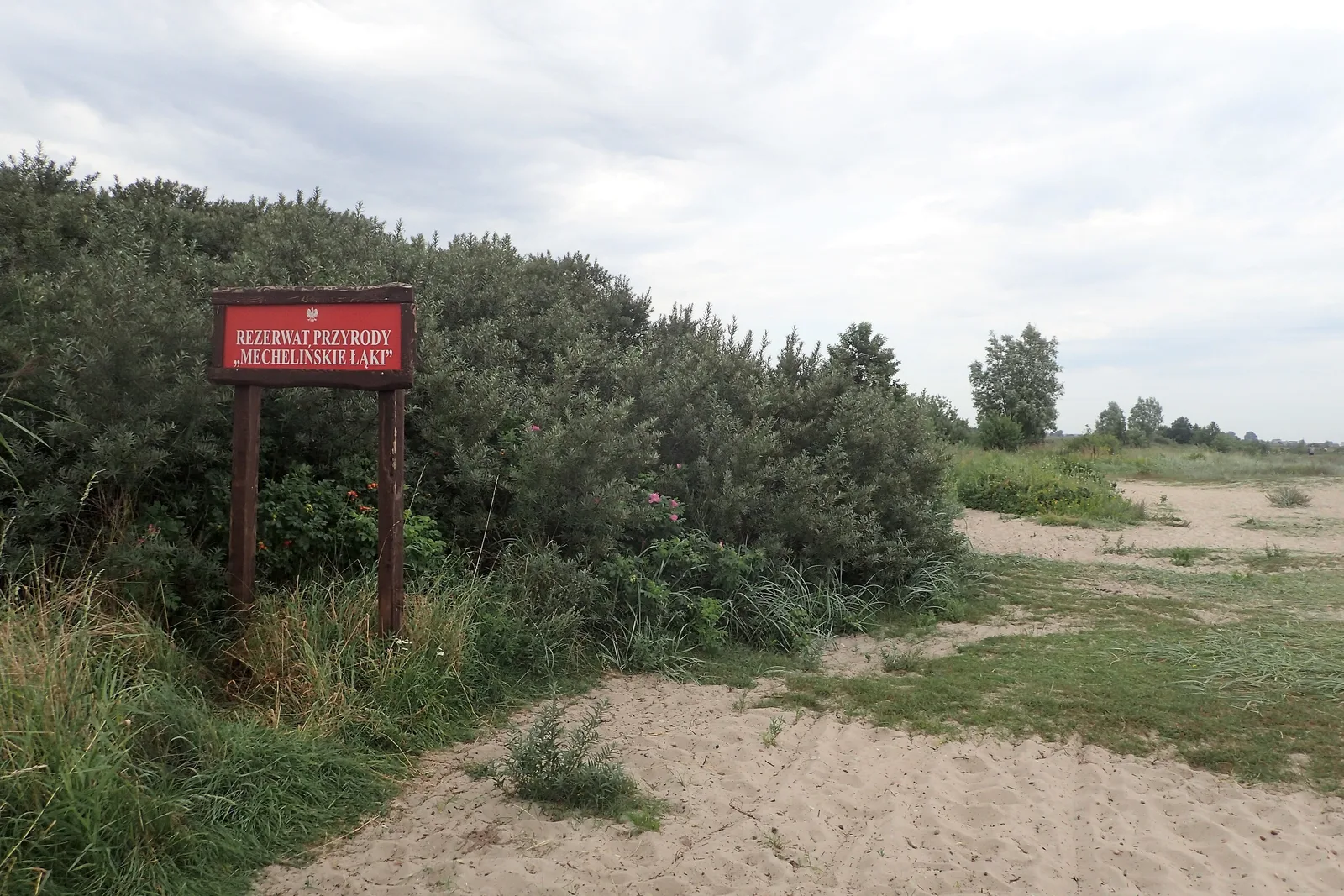 Mechelińskie Łąki Nature Reserve in N Poland
