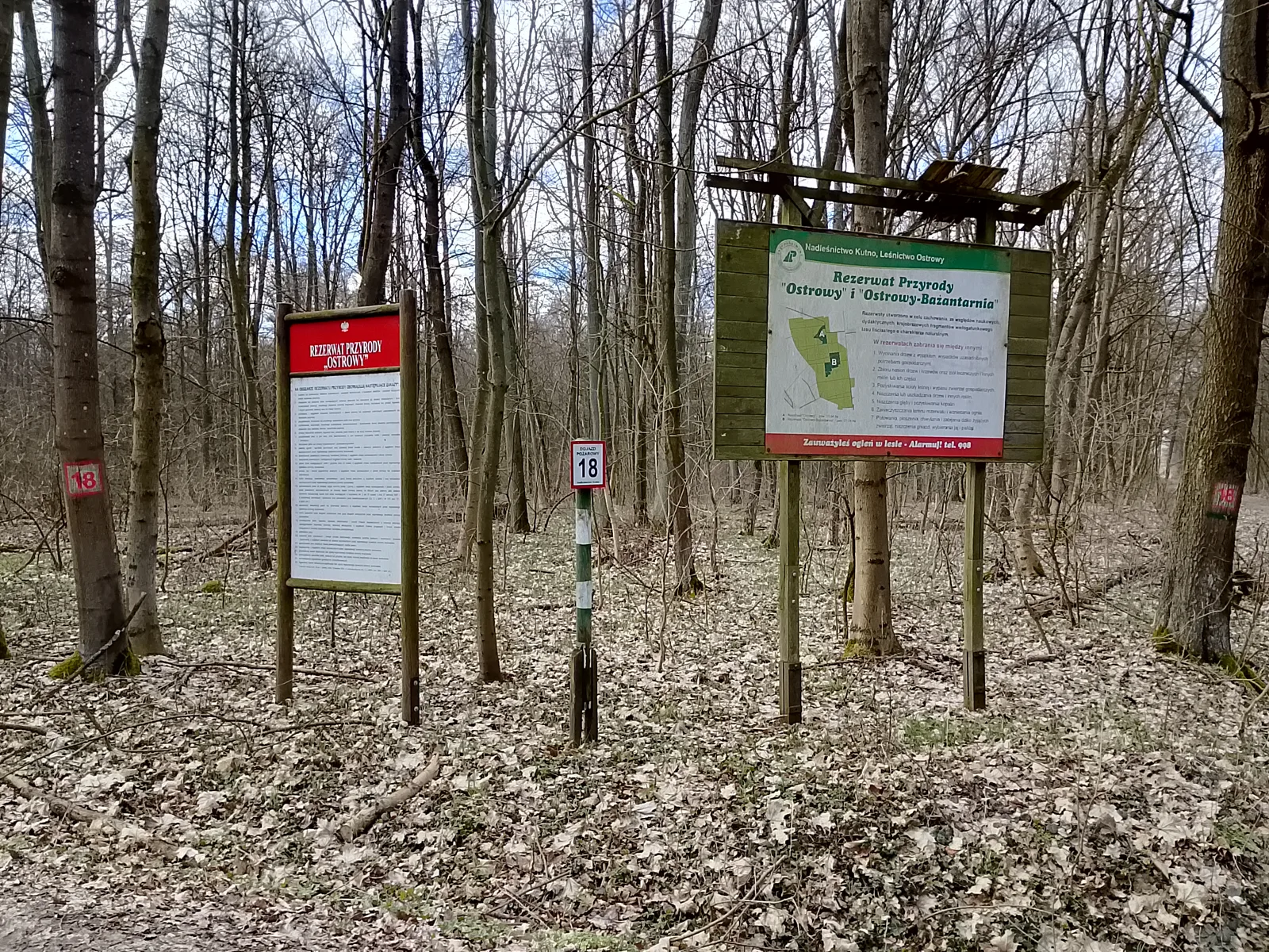 Rezerwat przyrody "Ostrowy" i "Ostrowy Bażantarnia"