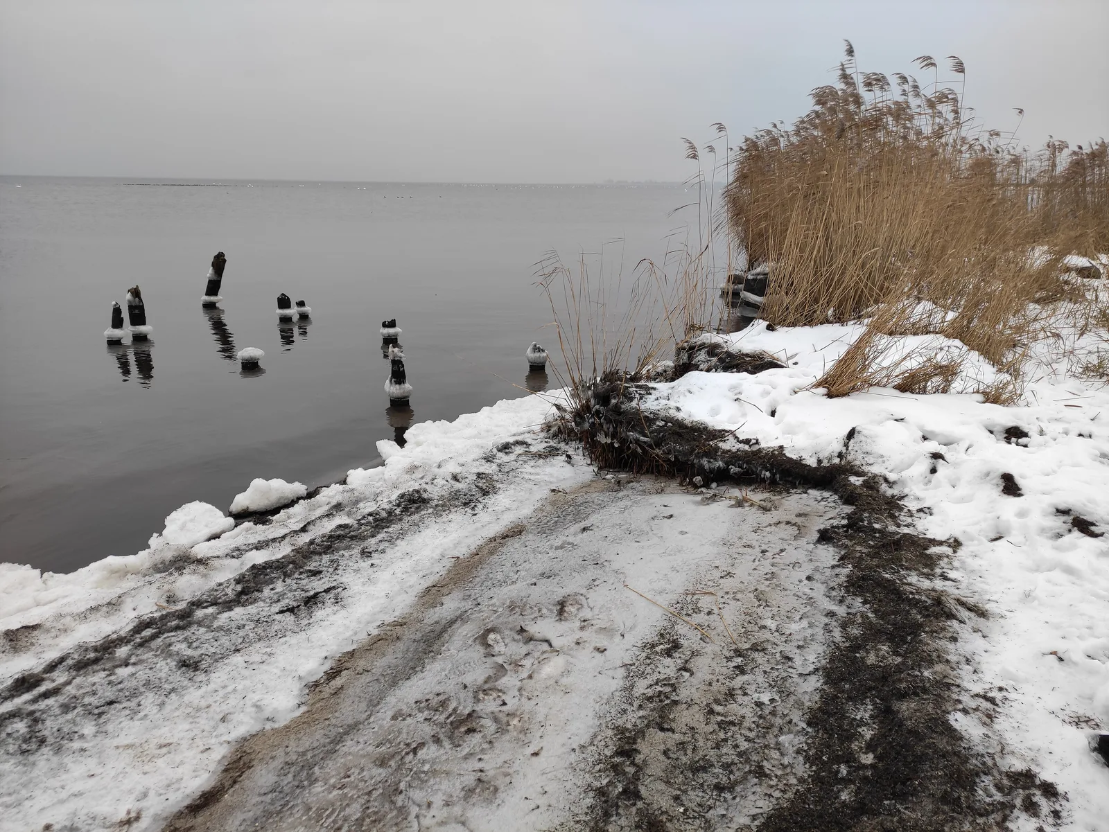 Rezerwat Przyrody Beka, Oslonino, okres Puck, Pomořské vojvodství, Polsko