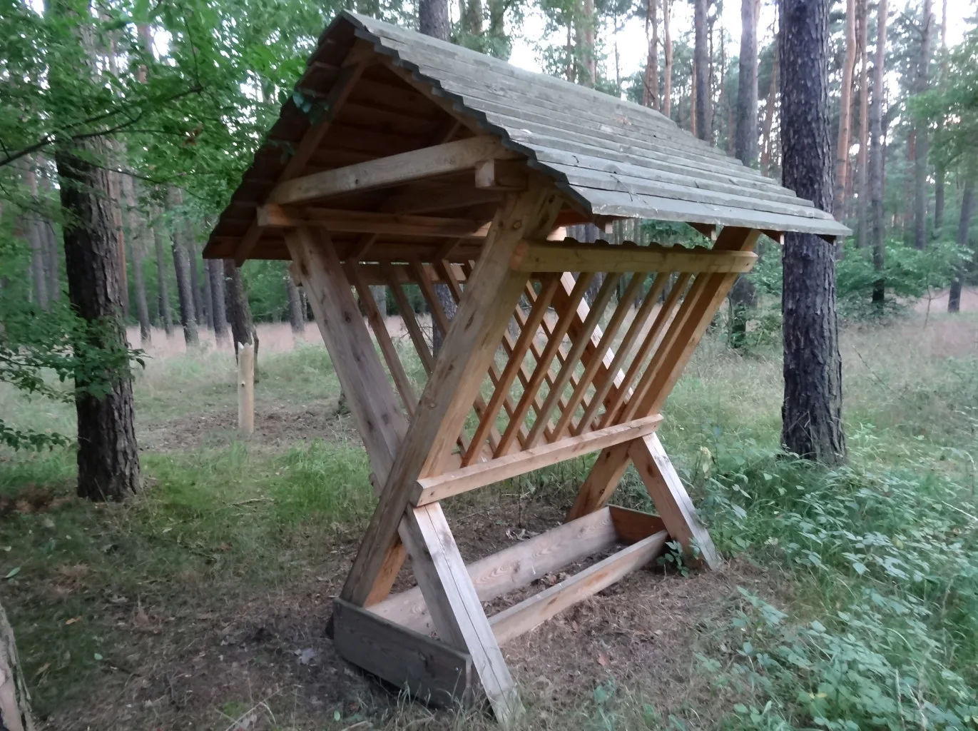 Leśna ścieżka dydaktyczna "Białe Błota" w nadleśnictwie Bydgoszcz, w Puszczy Bydgoskiej, koło miejscowości Białe Błota