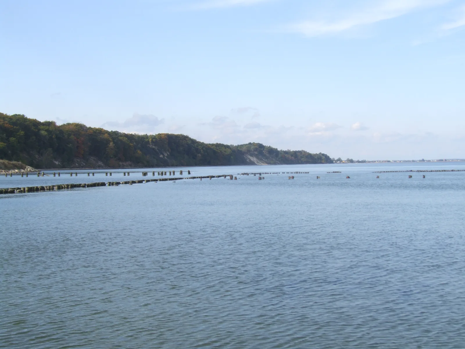 Plaża w Babich Dołach, Gdynia