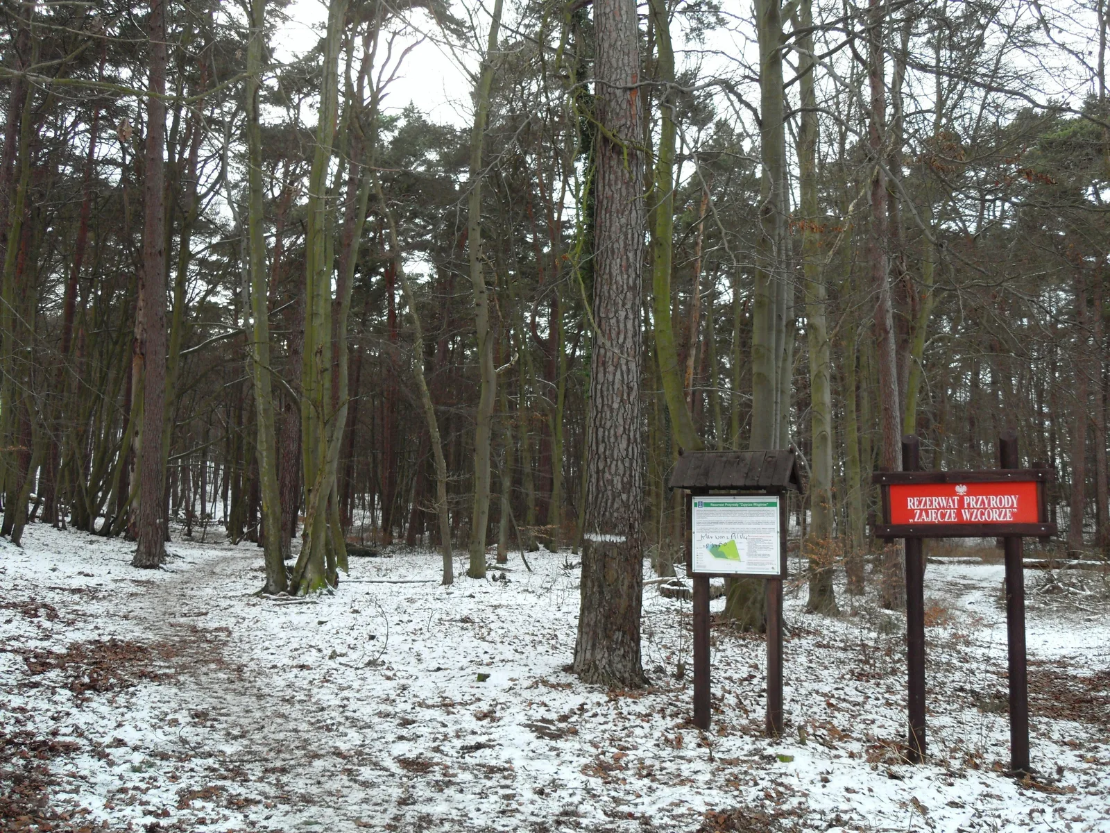 Sopot Górny - TPK , rezerwat "Zajęcze Wzgórze" .