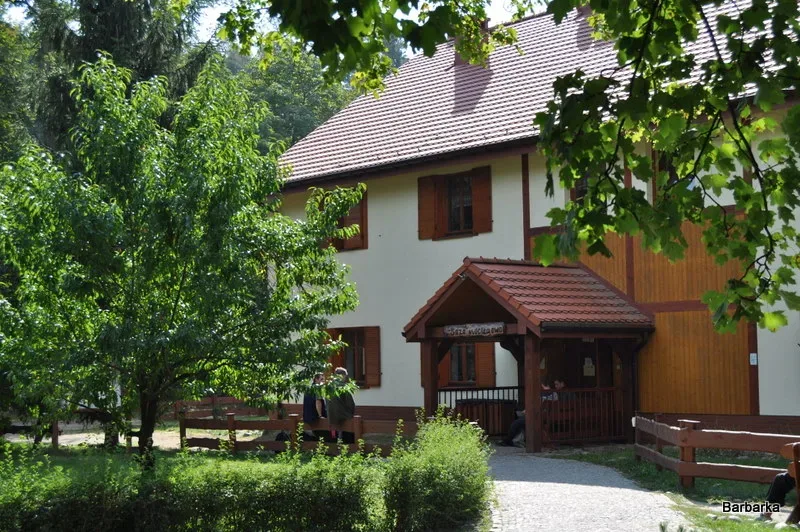 Szkoła Leśna na Barbarce