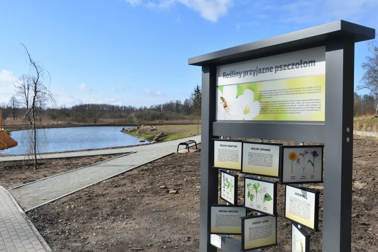 Park Miejski przy ul. E. Orzeszkowej w Rypinie