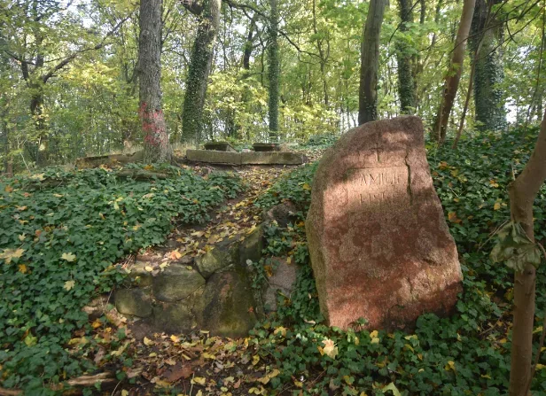 Ścieżka dydaktyczna „Cysterski Gaj”