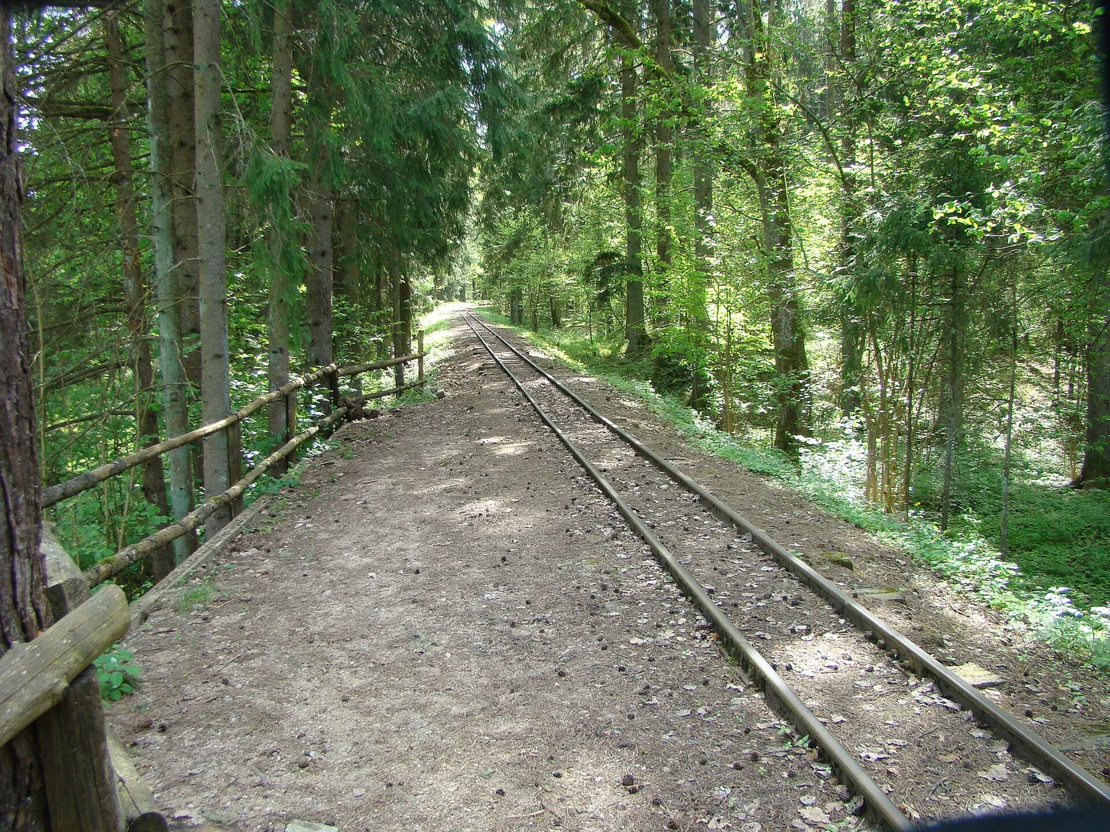 Wigry Narrow Gauge Railway at Powały stop.