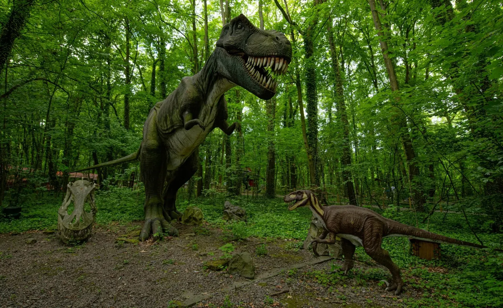 Dino Park w Malborku