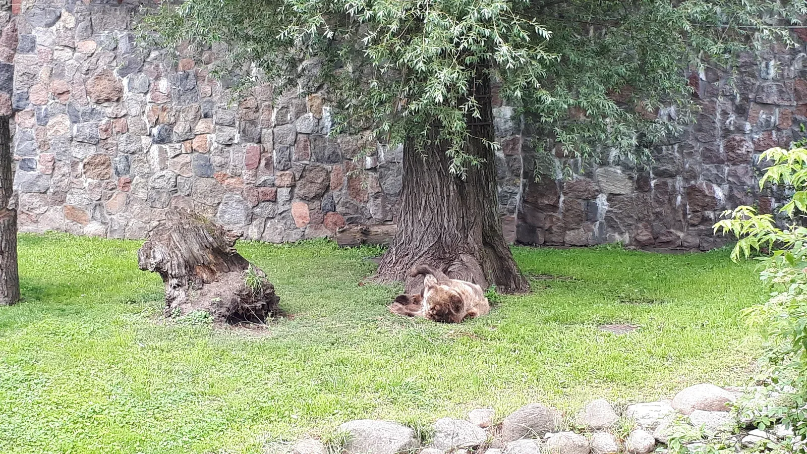 Akcent Zoo in Białystok