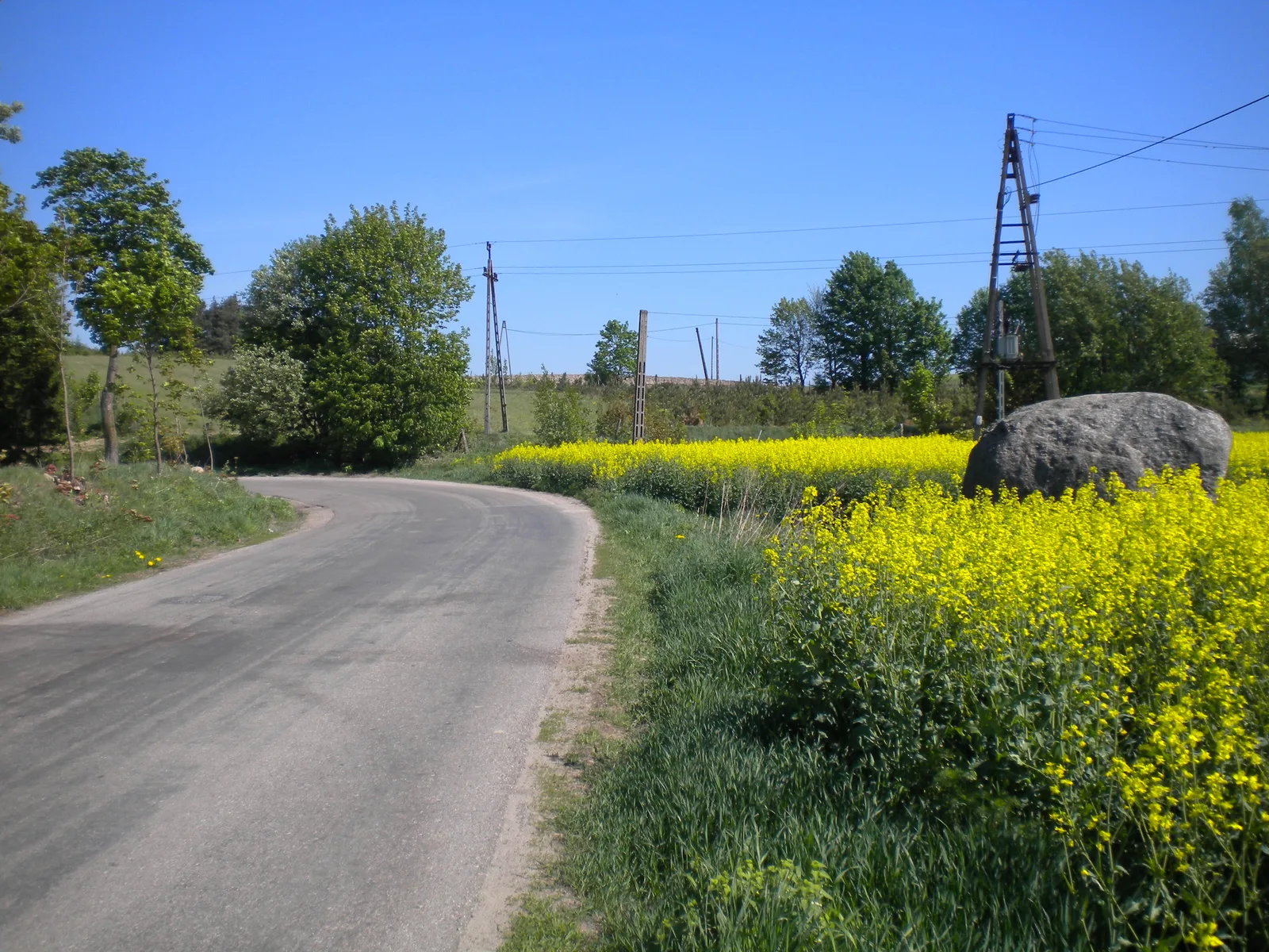 Weg am Rapsfeld nahe Peterswalde - Pietrzwald an der Kernsdorfer Höhe - Dylewska Góra am 9. Mai 2012