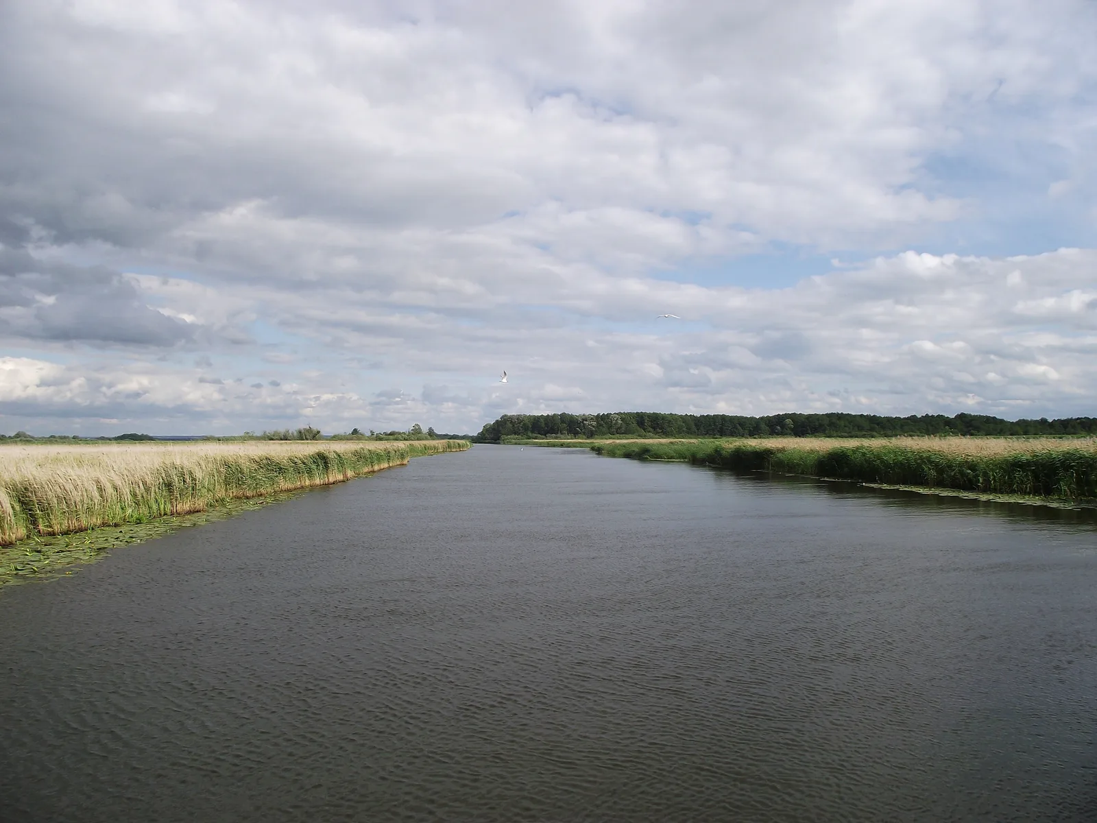 Jezioro Drużno