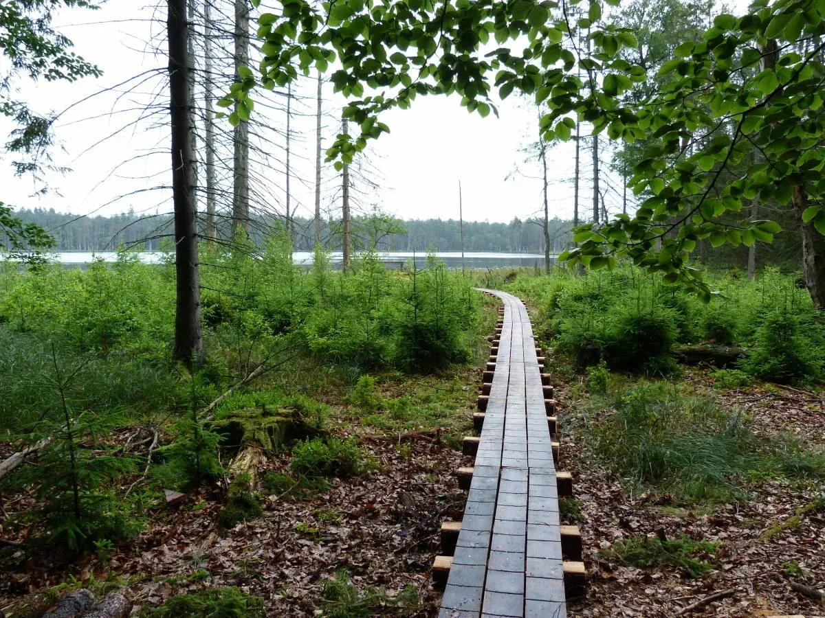Rezerwat Kurze Grzędy