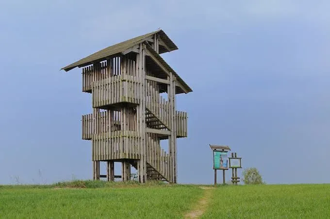 Wieża widokowa nad Śniardwami