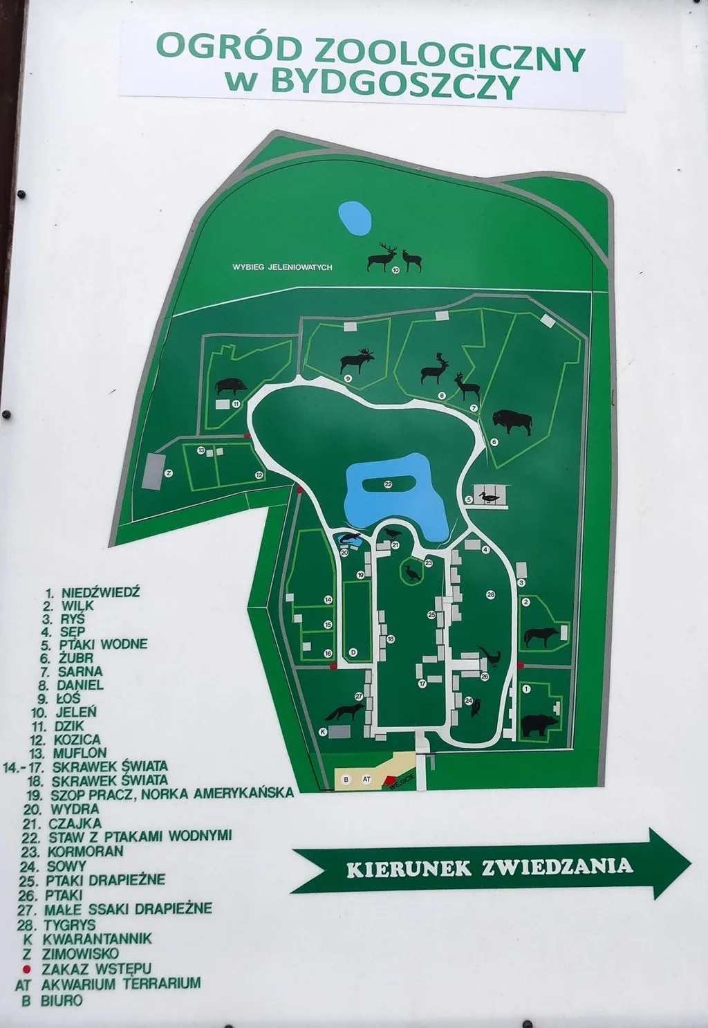Ogród zoologiczny w Bydgoszczy-Myślęcinku.