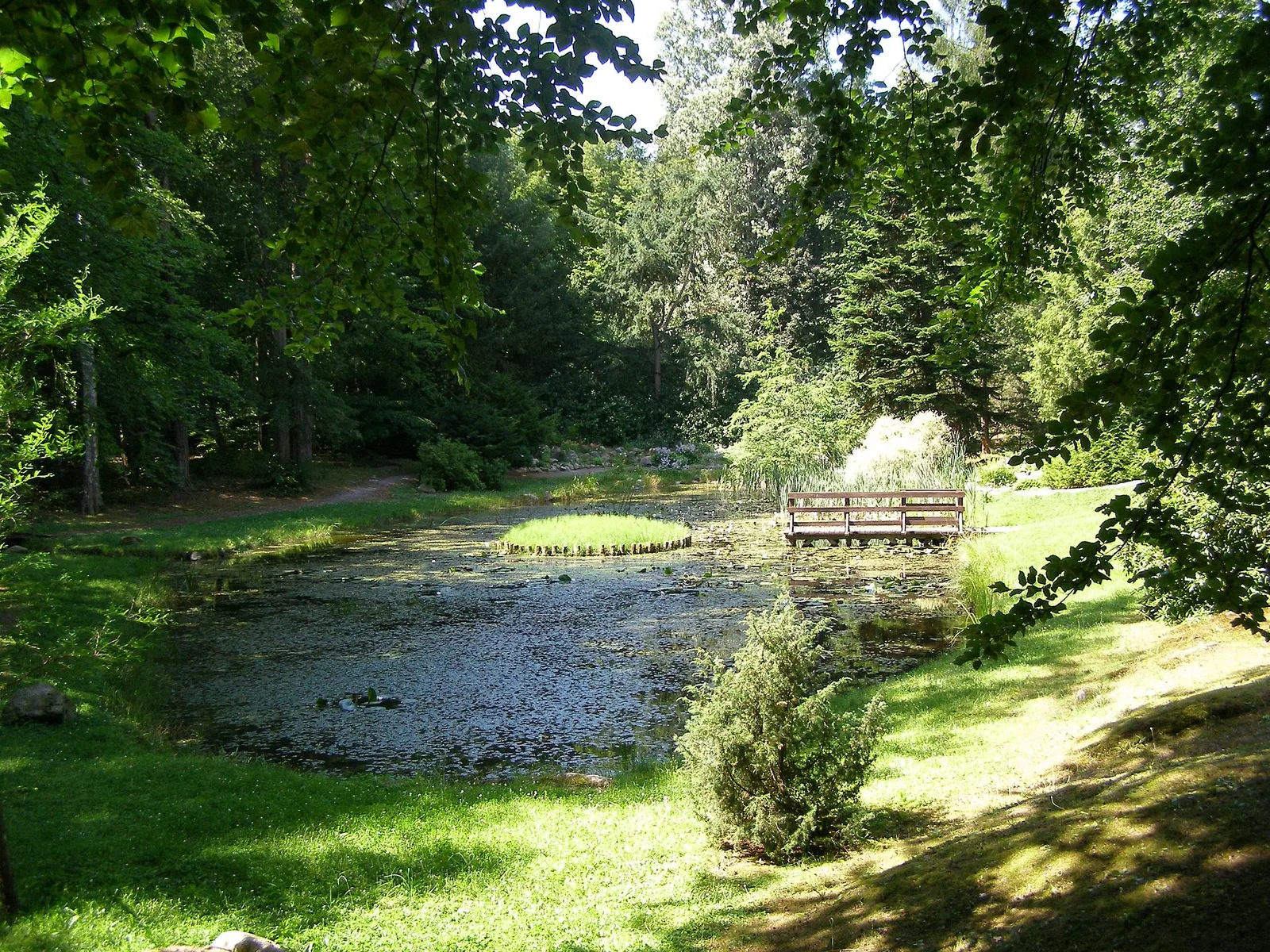 Wirty - Arboretum