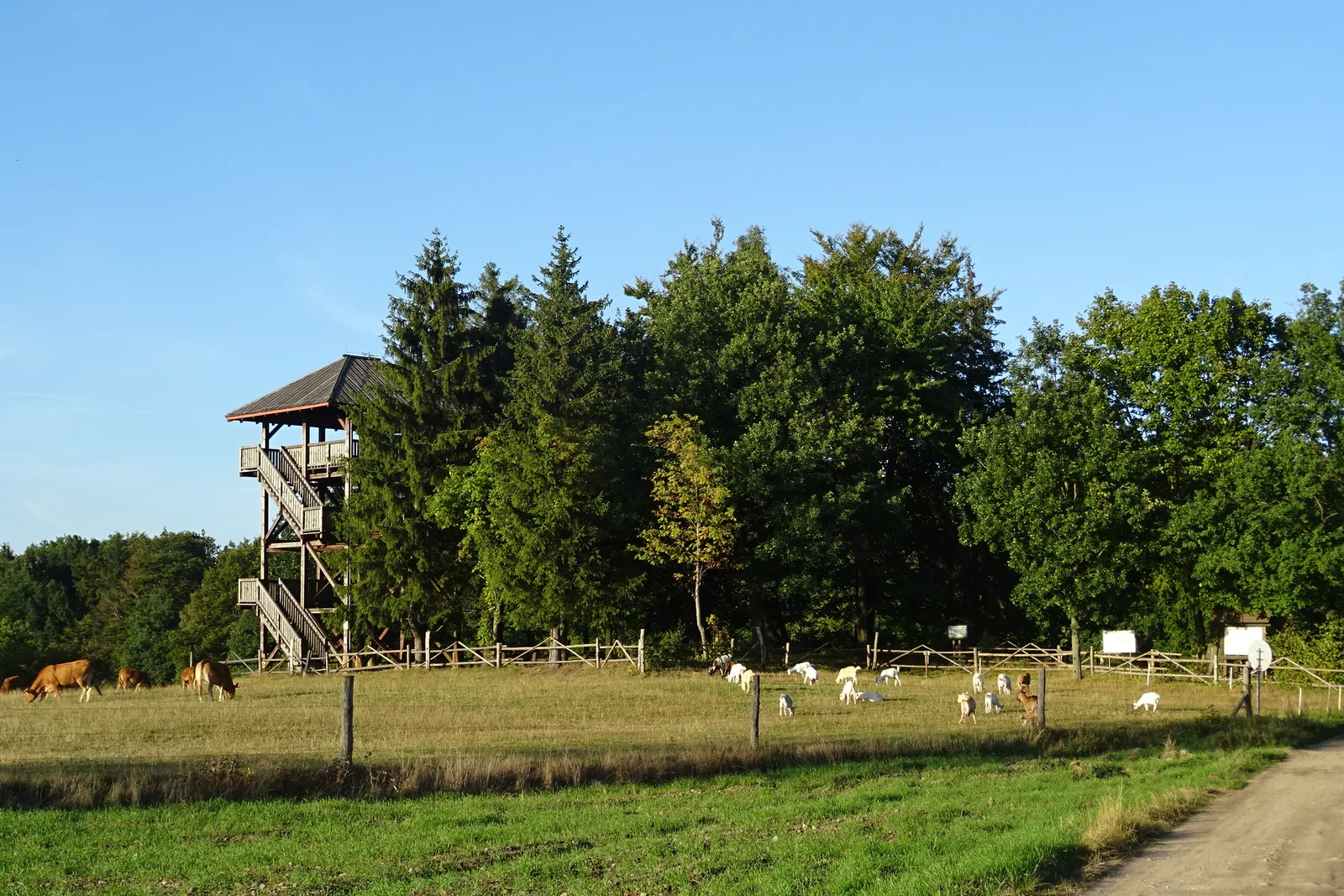 Dylewska Góra, Wzgórza Dylewskie