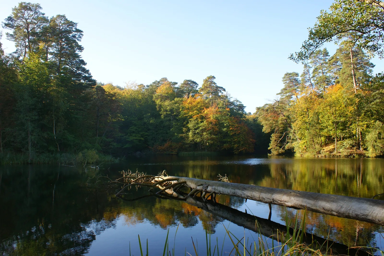 Gardno Lake in the Wolin National Park (NW Poland)