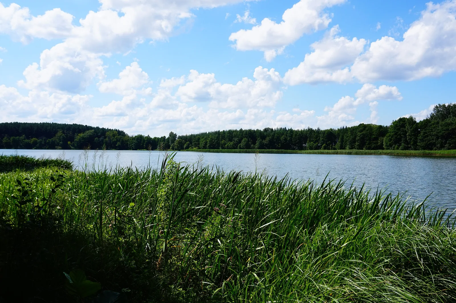 Jezioro Sudomie od strony wsi Sycowa Huta