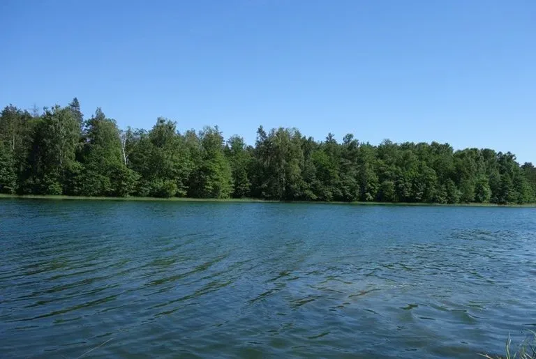 Plaża w Serwach nad jeziorem Serwy