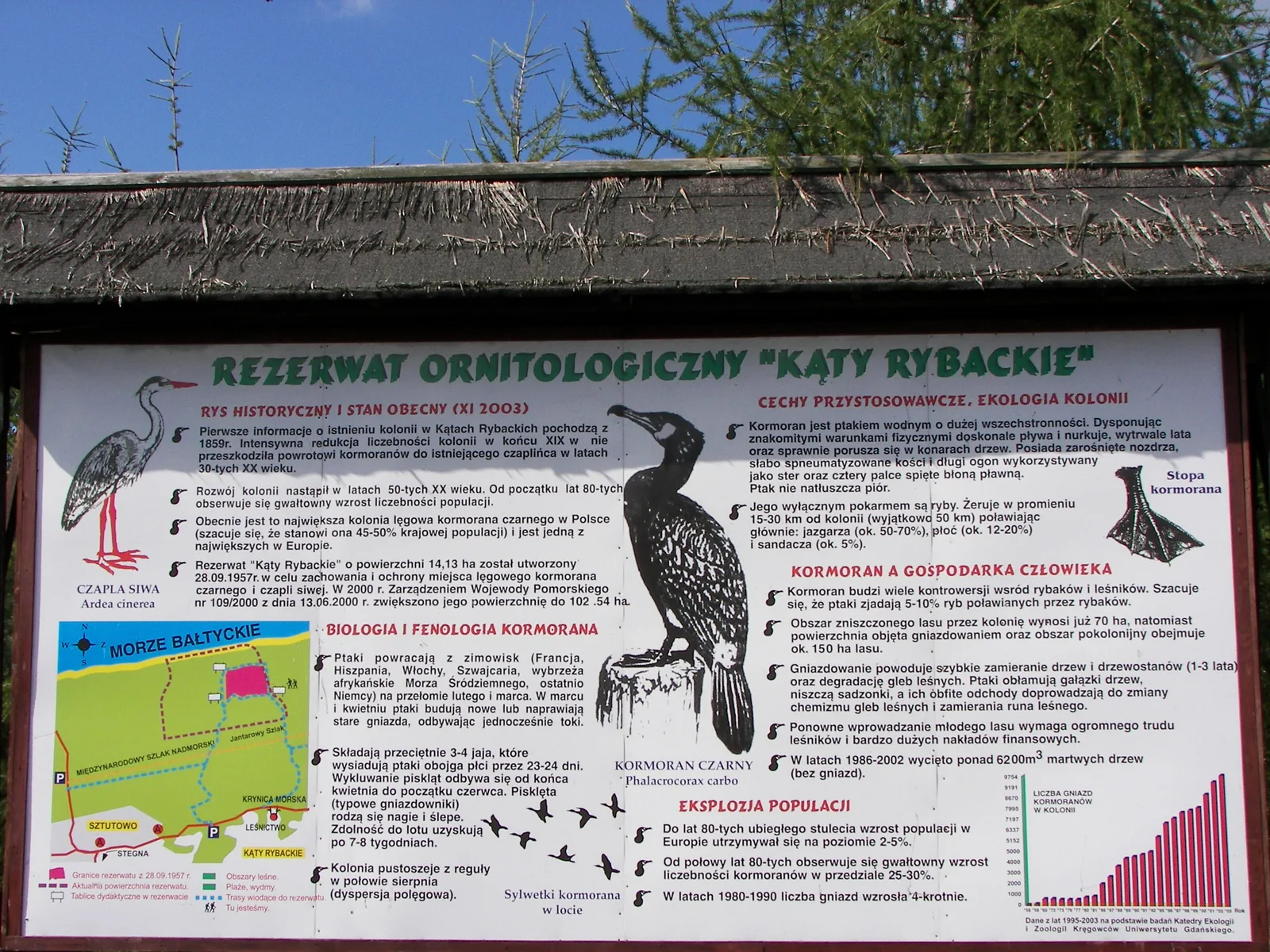 Rezerwat przyrody Kąty Rybackie — Kąty Rybackie