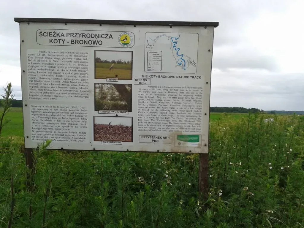 Ścieżka przyrodnicza Koty–Bronowo