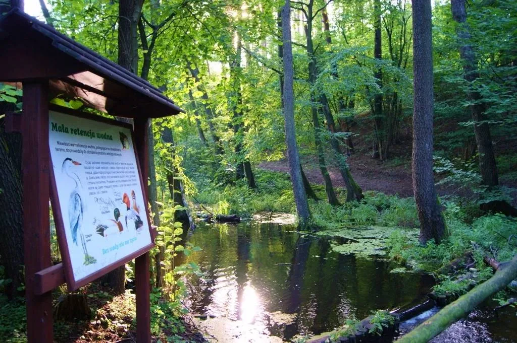 Ścieżka przyrodniczo-leśna „Dolina rzeki Gąsawki”