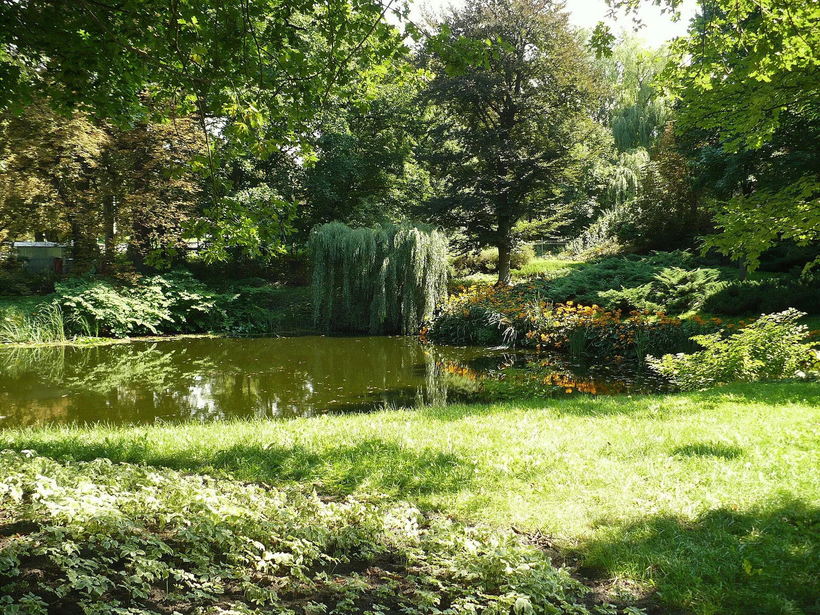 English garden in Ostromecko
