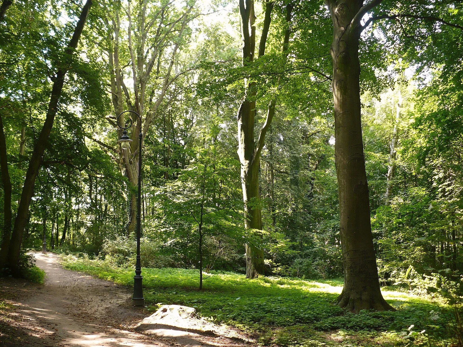 English garden in Ostromecko