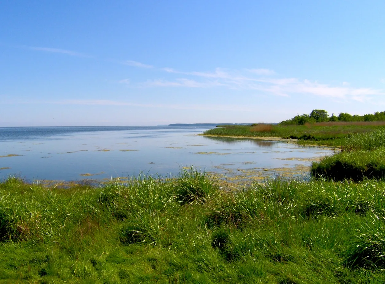 Bay of Puck - Baltic Sea , near the town of Władysławowo, southwards, Poland , spring of 2006 Zatoka Pucka - Słone Łąki - Nadmorski Park Krajobrazowy, wiosna 2006 Autor: Krzysztof