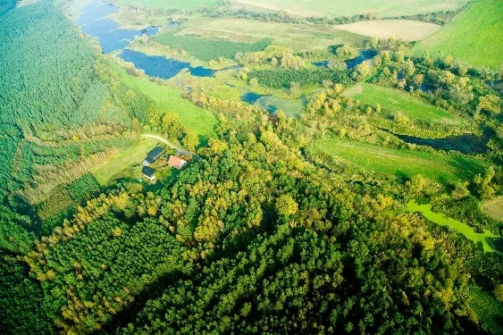 Ścieżka przyrodniczo–historyczna w leśnictwach Dąbki i Podlesie oraz Zielona Klasa Podlesie