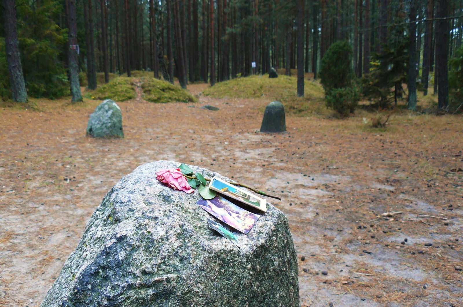 Kręgi kamienne w Węsiorach.