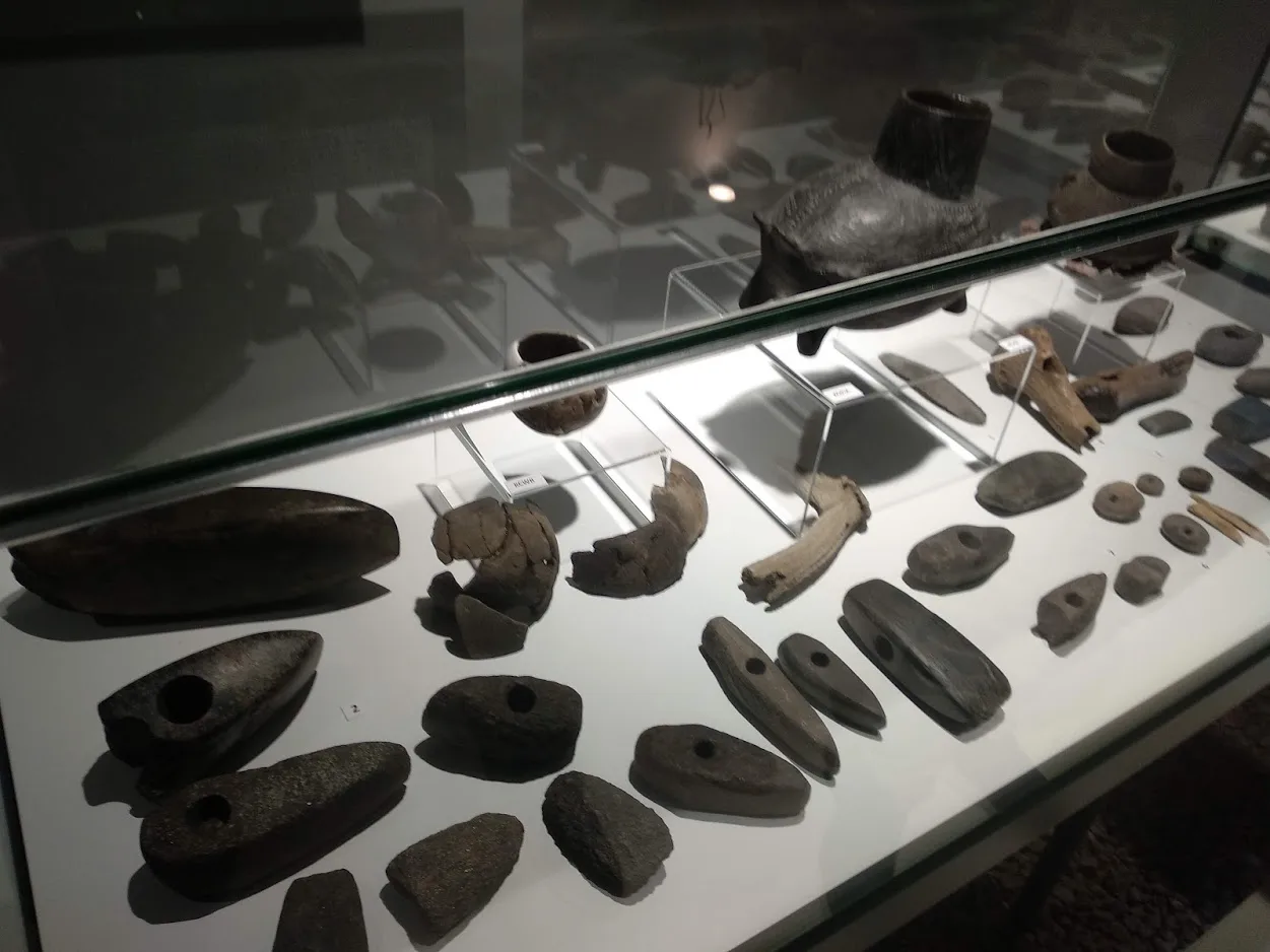 Muzeum Historii Włocławka (2019 r.)