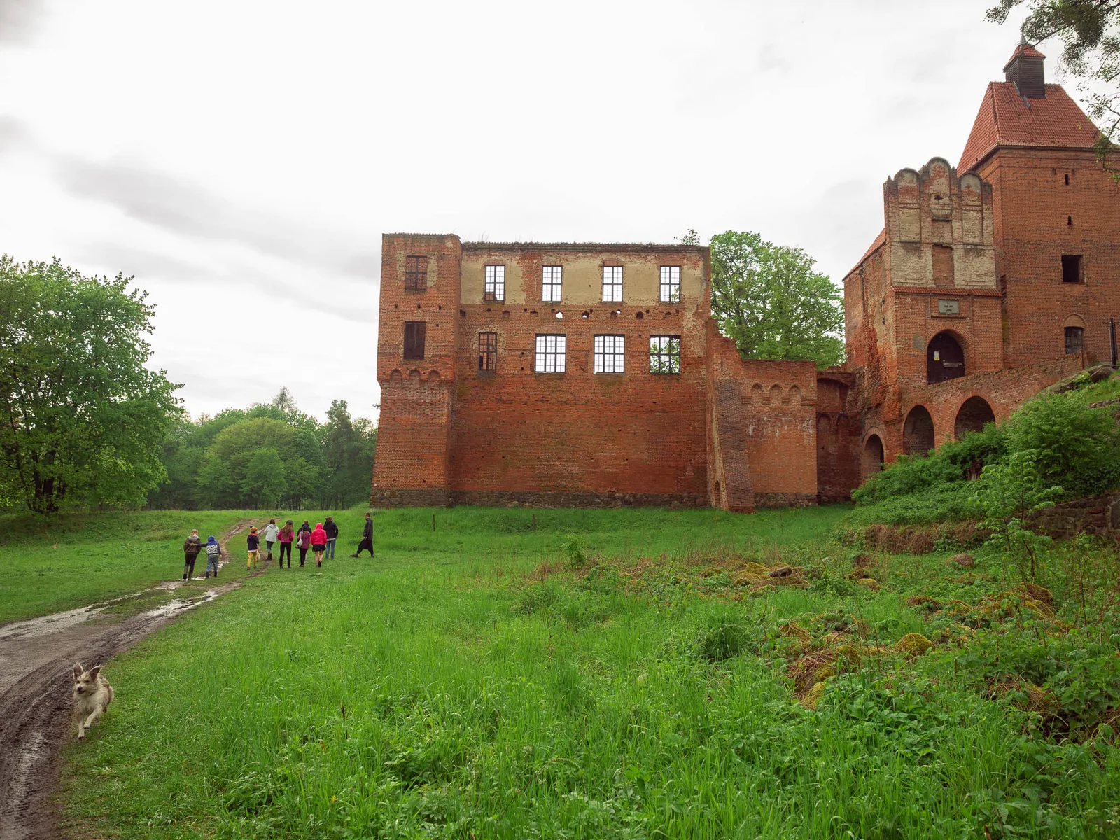ruins of the castle in Szymbark