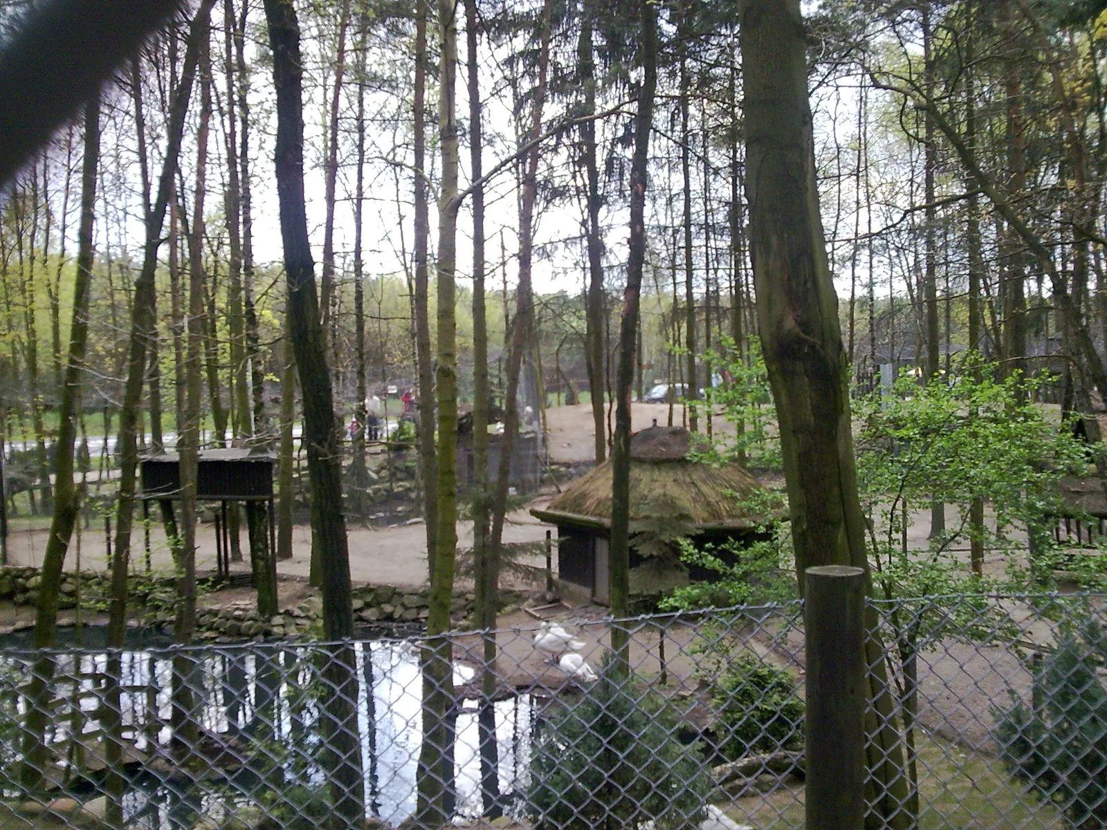 Sieroczyn - Mini Zoo przy DK 22