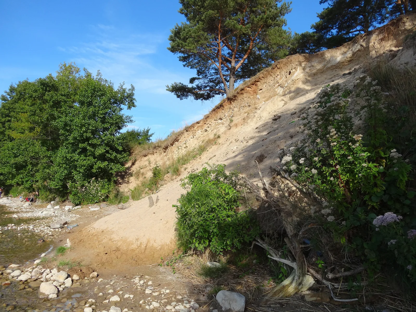 Szeroki Ostrów